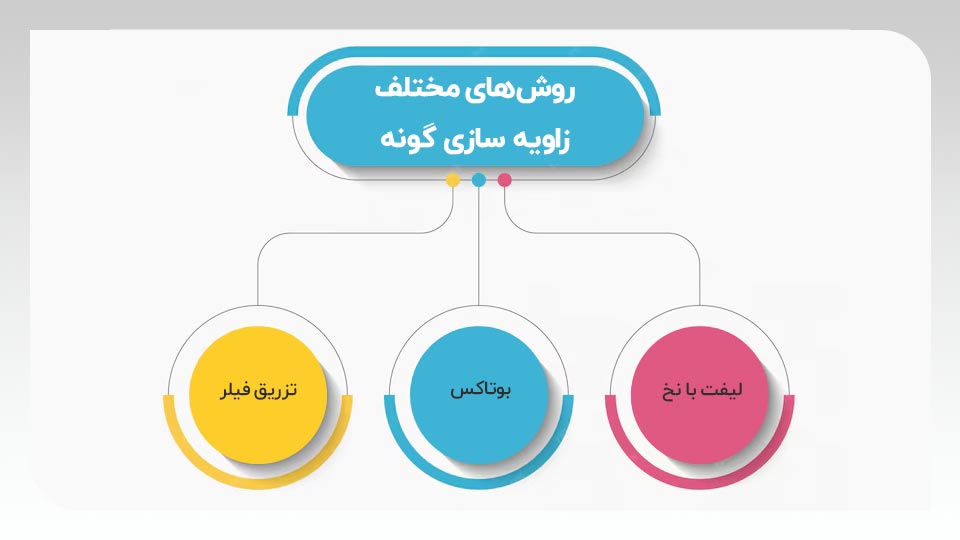 زاویه سازی گونه