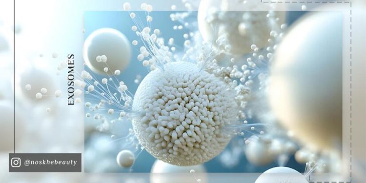 اگزوزوم سلول بنیادی برای جوانسازی پوست