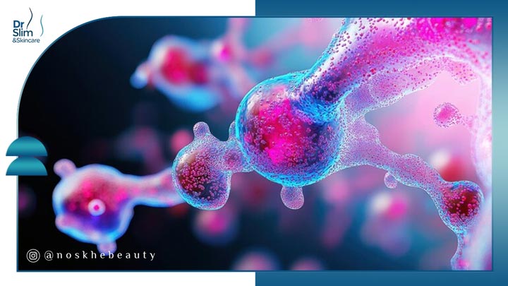 اگزوزوم سلول بنیادی برای درمان مشکلات پوست