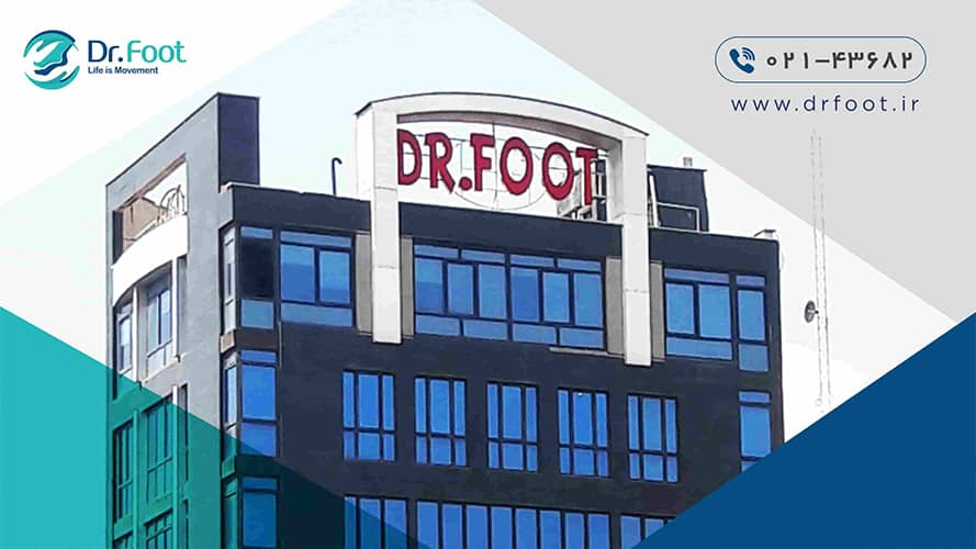 خواص سنجد برای لاغری