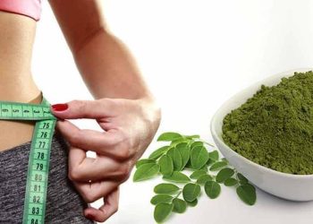 مورینگا برای لاغری