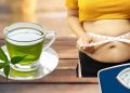 خواص چای سبز برای لاغری شکم و پهلو