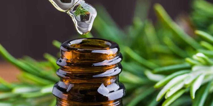 روغن نارگیل بهتر است یا رزماری
