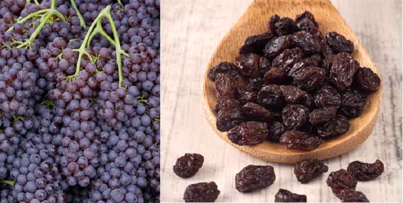 خواص مویز برای لاغری