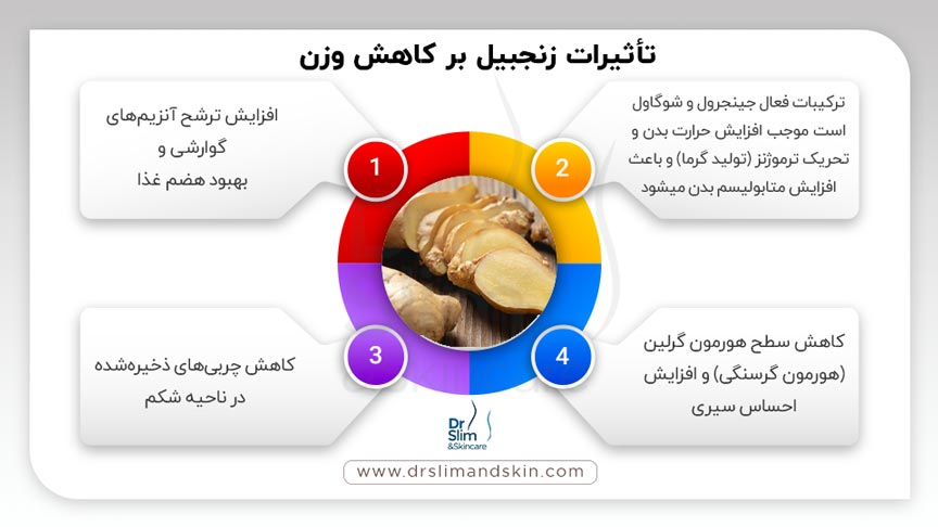 خواص زنجبیل برای لاغری