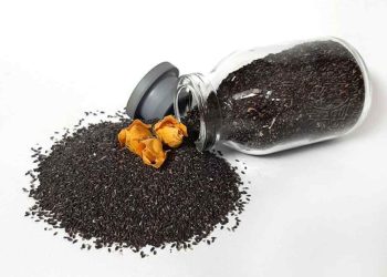 خواص بزرک سیاه برای لاغری