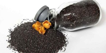 خواص بزرک سیاه برای لاغری