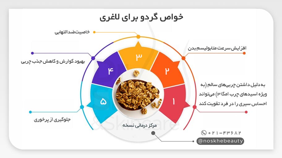 بهترین زمان مصرف گردو برای لاغری