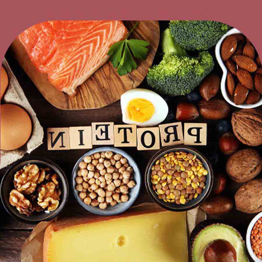 انواع پروتئین برای لاغری