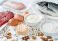 انواع پروتئین برای لاغری