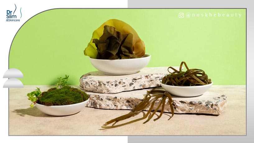 جلبک ‌تراپی چیست