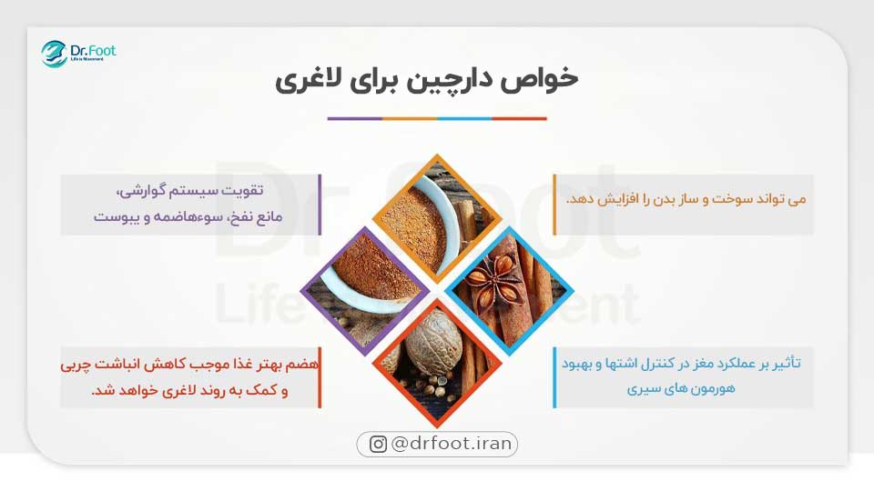 دمنوش دارچین برای لاغری