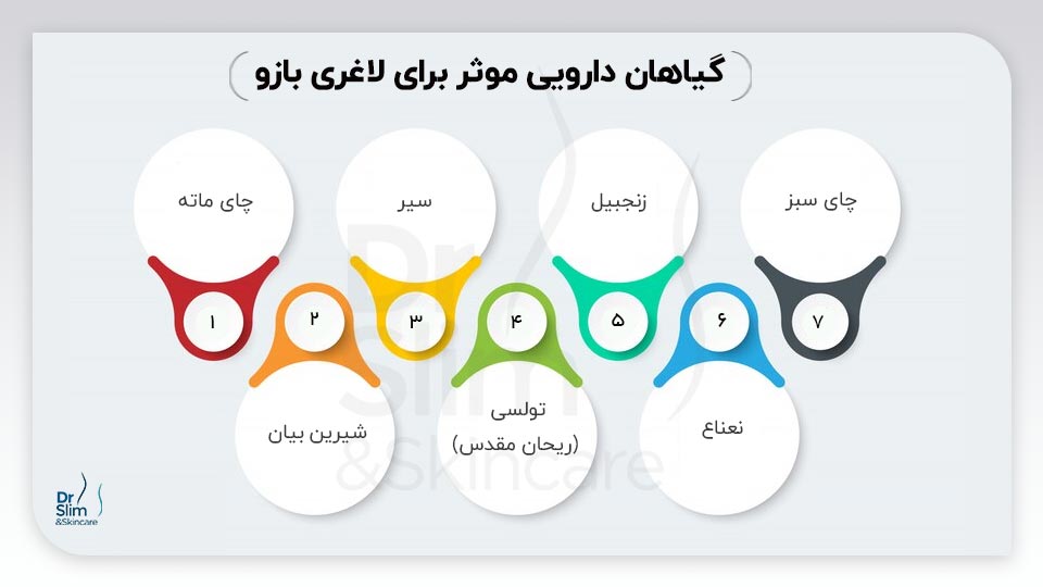 داروی گیاهی برای لاغری بازو