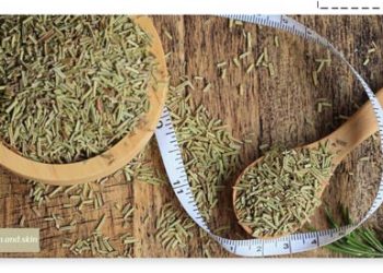 طریقه مصرف رازیانه برای لاغری