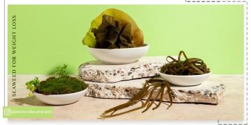 خواص جلبک دریایی برای لاغری