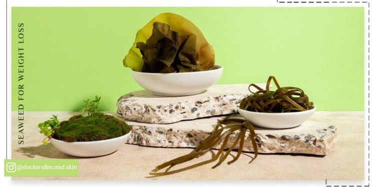 خواص جلبک دریایی برای لاغری