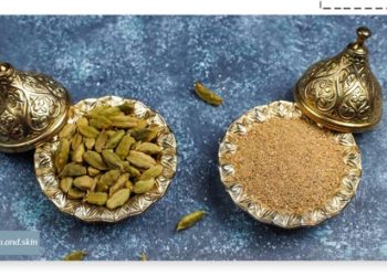 طریقه مصرف عرق هل برای لاغری