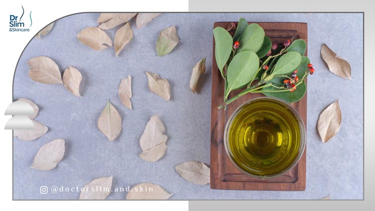 طریقه مصرف برگ سنا برای لاغری