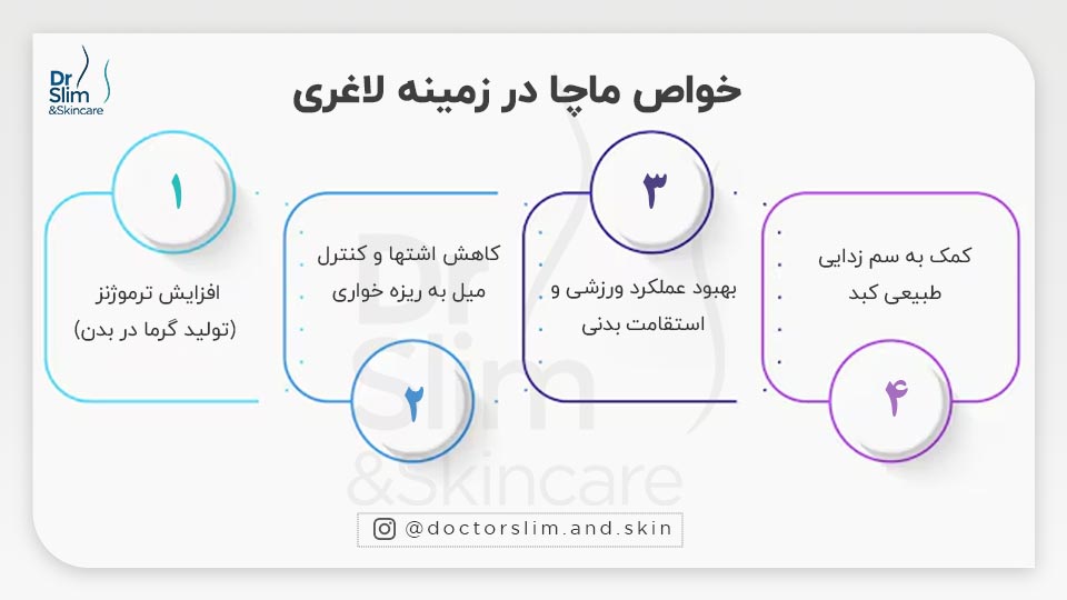 بهترین زمان مصرف چای ماچا برای لاغری