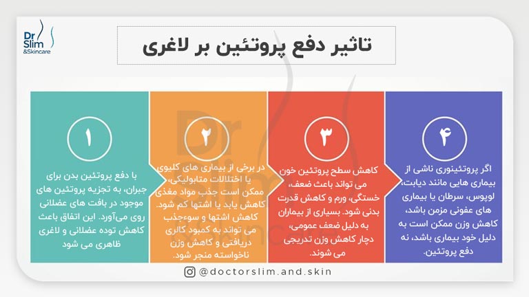 آیا دفع پروتئین باعث لاغری می ‌شود