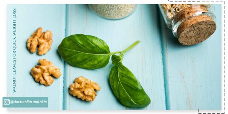 عرق برگ گردو برای لاغری سریع