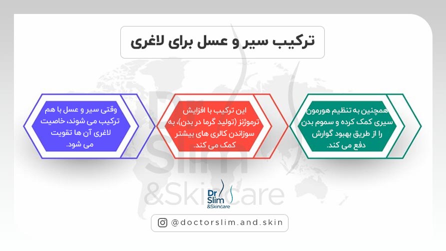 بهترین زمان خوردن سیر و عسل برای لاغری