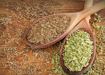 لاغری با زیره