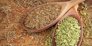 لاغری با زیره