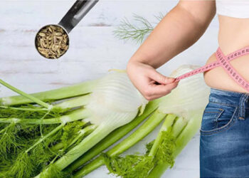 عرق رازیانه برای لاغری