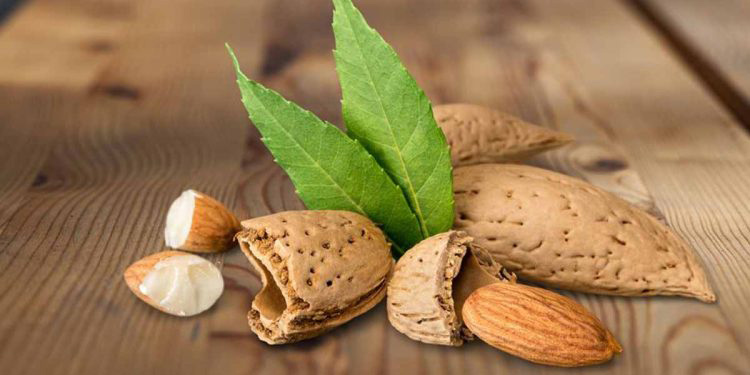 آیا خوردن بادام ناشتا باعث لاغری میشود