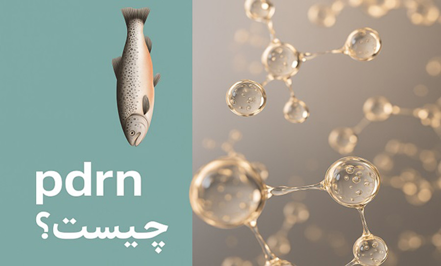 اگزوزوم صورت یا DNA ماهی سالمون