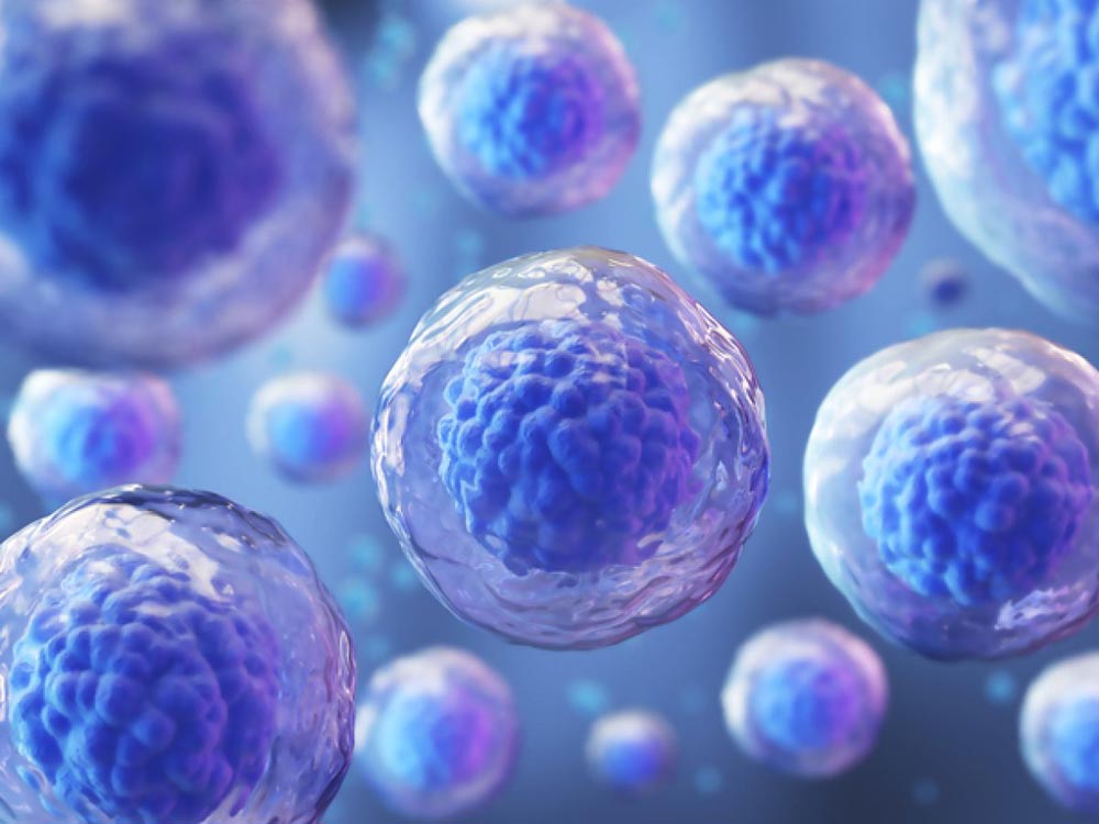 درمان ترکیبی سلول‌ های بنیادی و SVF با TargetCool