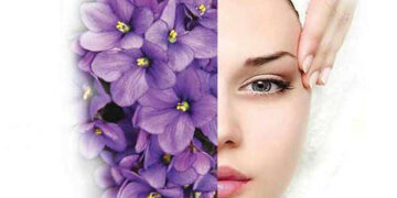 معجزه چای بنفشه وحشی برای سفتی پوست صورت