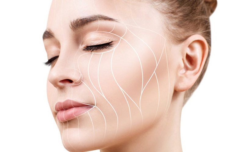 فیبروبلاست و کلاژن